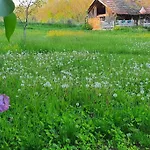 Garden - Balaton Apartment