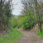 Garden - Balaton * Szolad