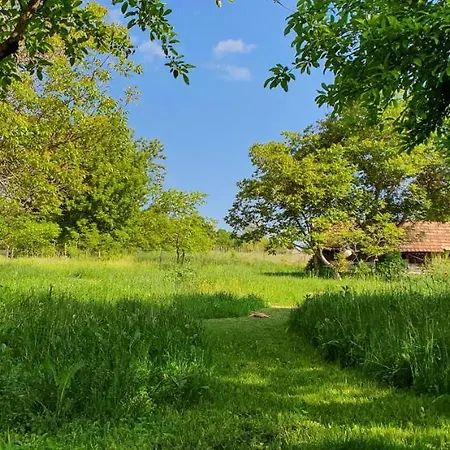 Garden - Balaton Szolad