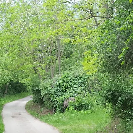 Garden - Balaton Szolad