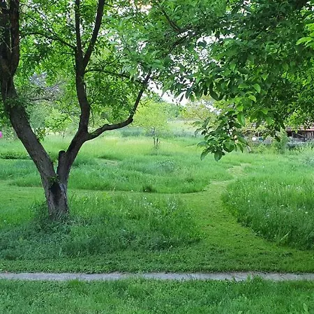 Garden - Balaton *