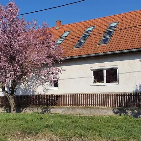 Apartamento Garden - Balaton *