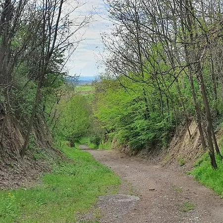 Garden - Balaton * Szolad