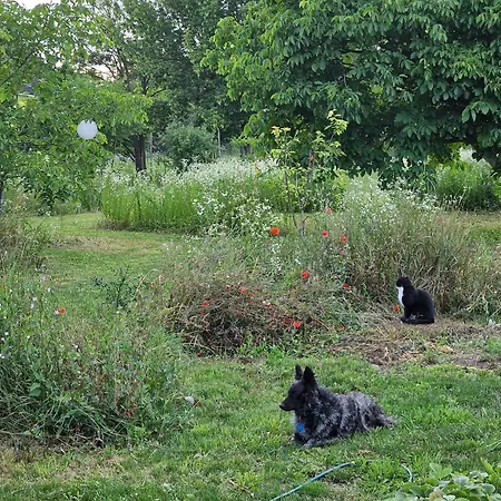 Garden - Balaton Апартаменты *