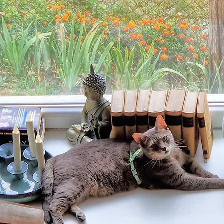 Apartmán Garden - Balaton Szolad