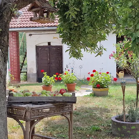 Garden - Balaton Szolad