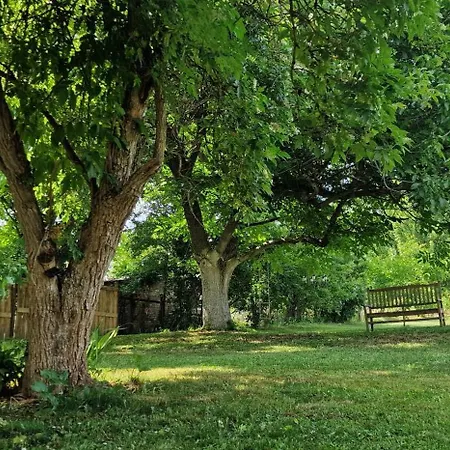 Garden - Balaton Apartment Szolad