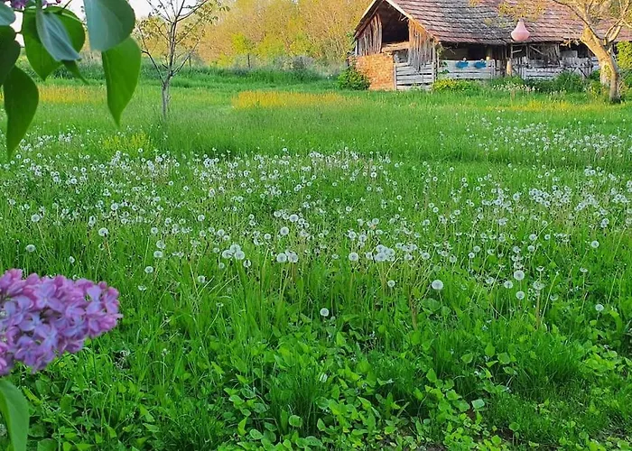 Garden - Balaton アパート