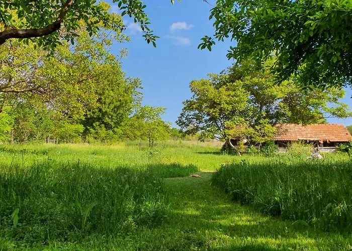 Garden - Balaton Szolad