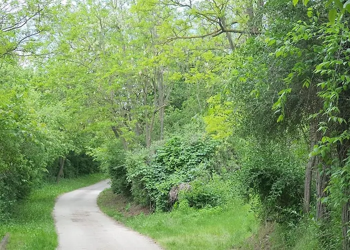 Garden - Balaton Szolad