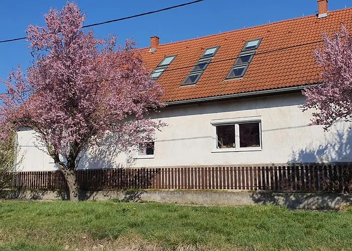 Lägenhet Garden - Balaton *