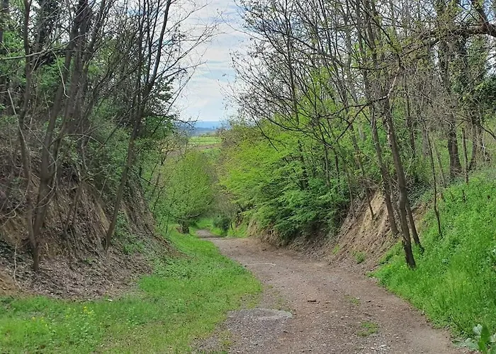 Garden - Balaton * Szolad