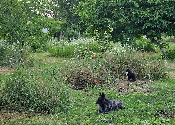 Garden - Balaton דירה *