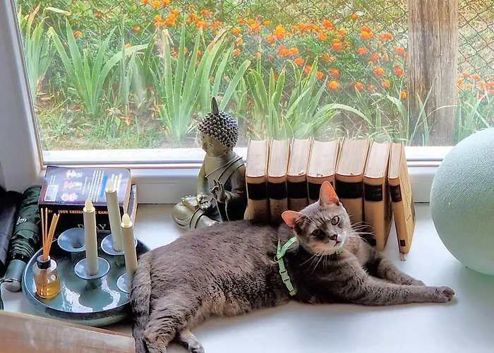 דירה Garden - Balaton Szolad