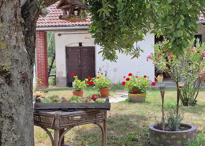 Garden - Balaton Szólád