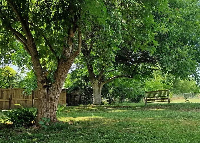 Garden - Balaton Lägenhet Szolad